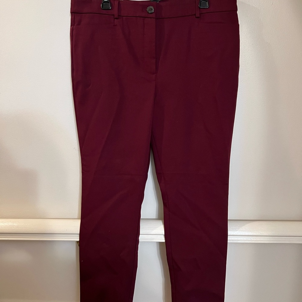 Loft Pants NWT
